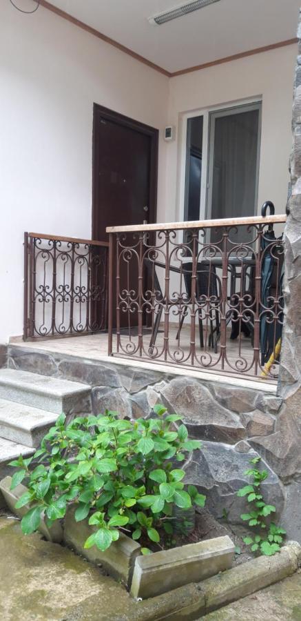 Ira & Vaso'S Guest House Borjomipark Exterior foto