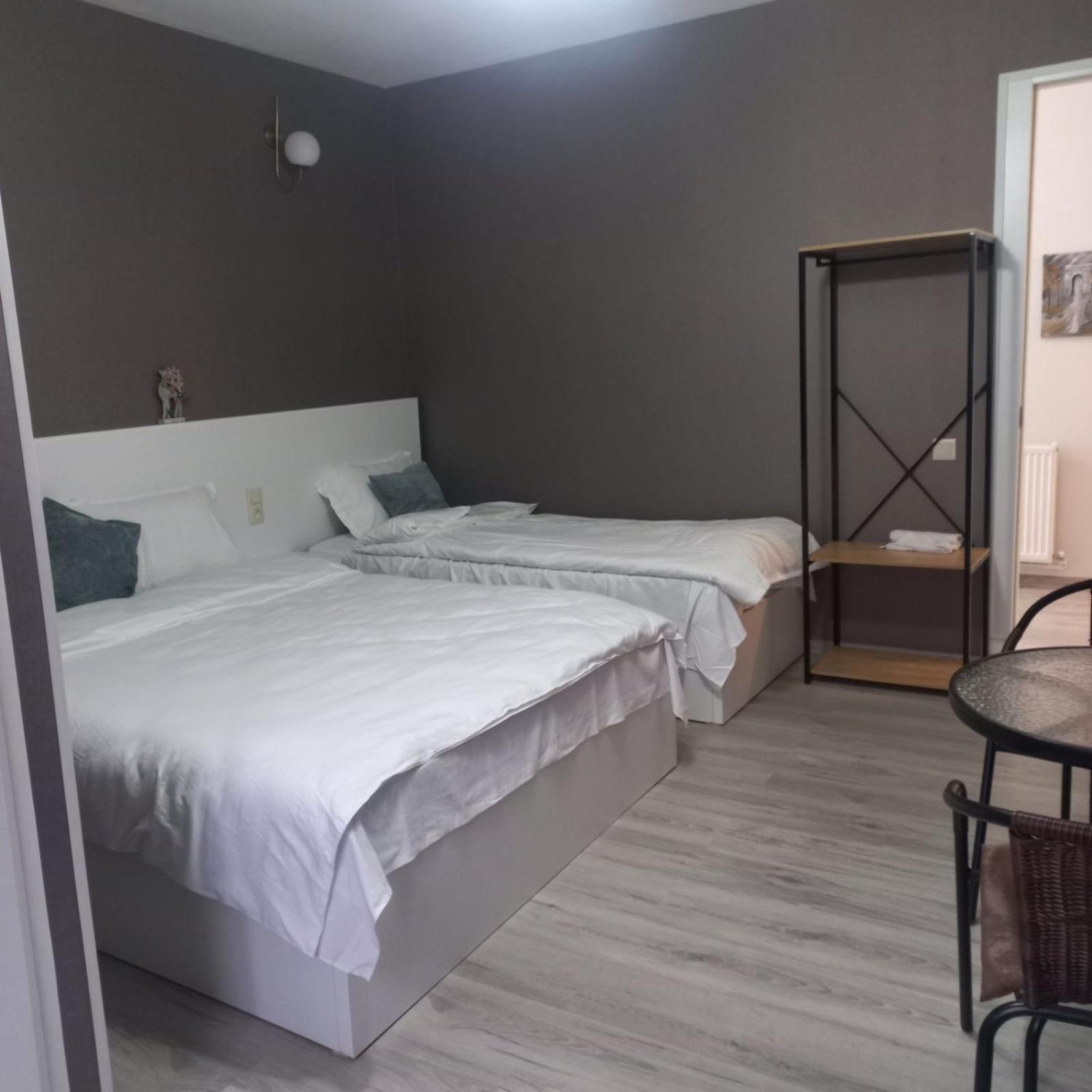 Ira & Vaso'S Guest House Borjomipark Quarto foto
