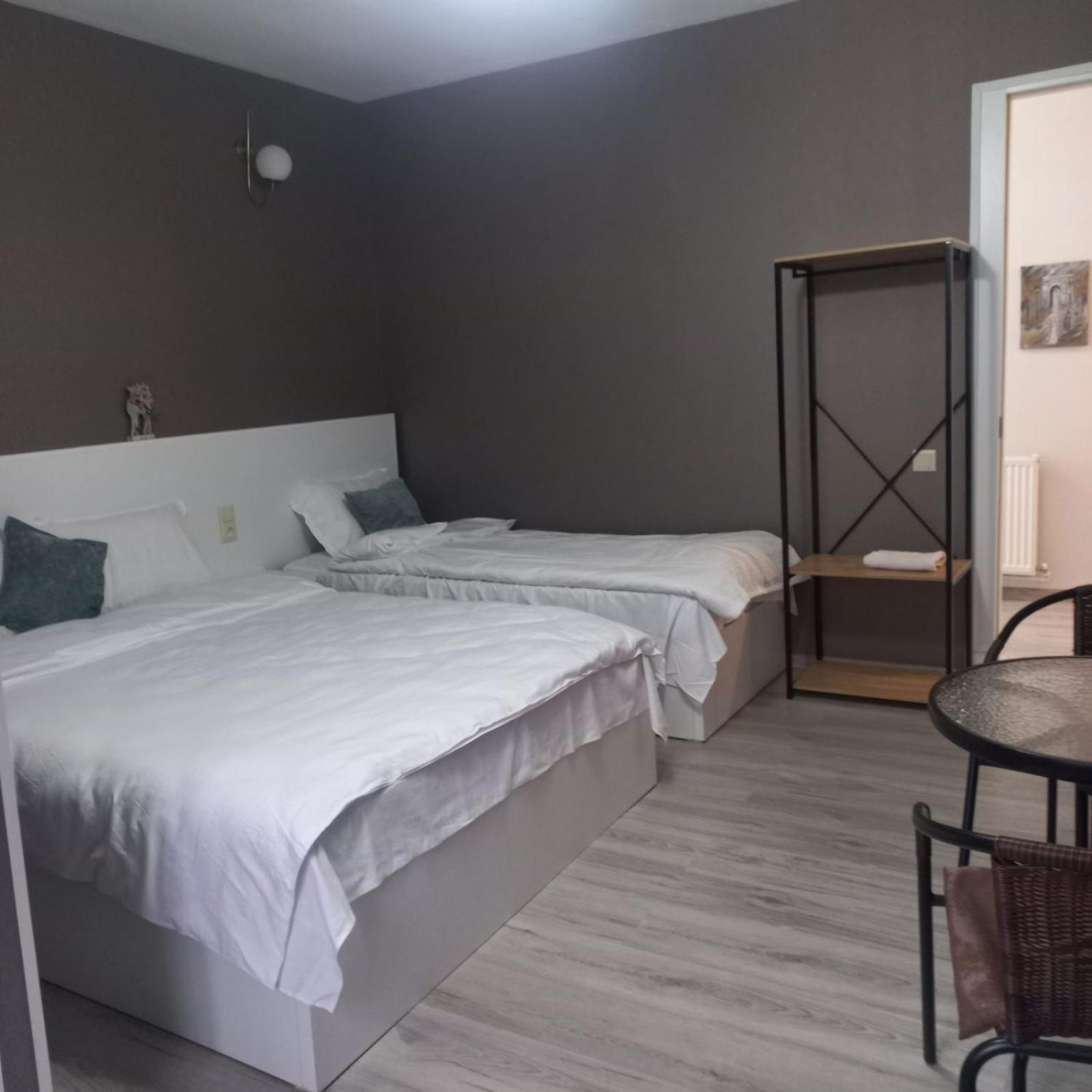 Ira & Vaso'S Guest House Borjomipark Quarto foto
